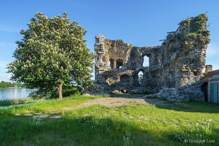 Vasknarva Castle image