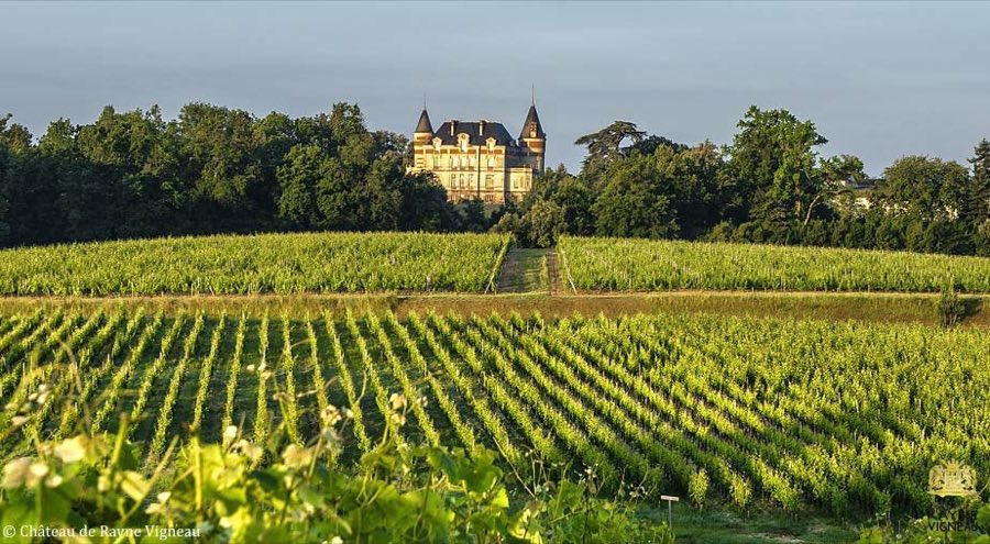 Château de Rayne-Vigneau image