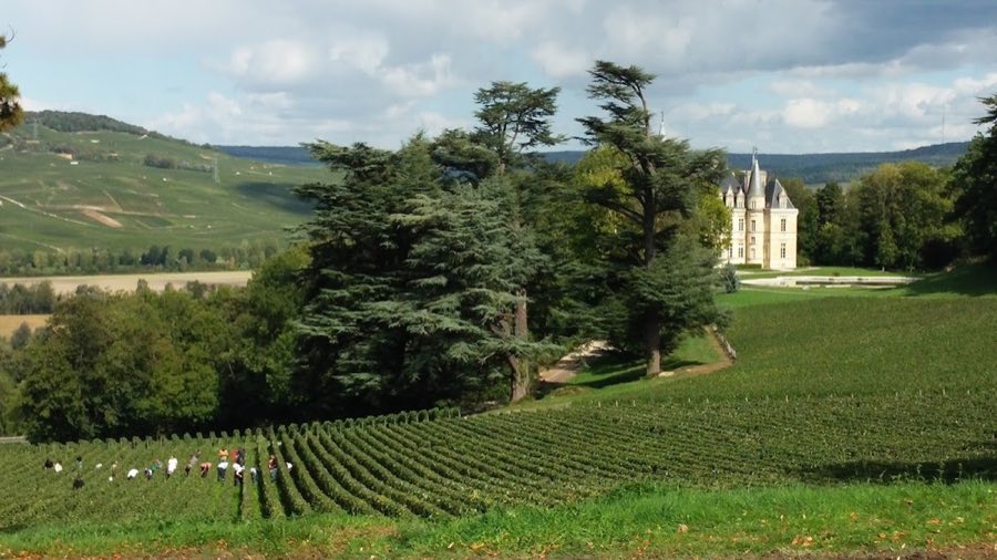 Château de Boursault image