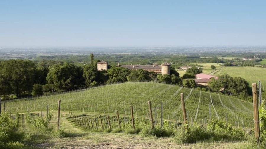 Castello di Momeliano image