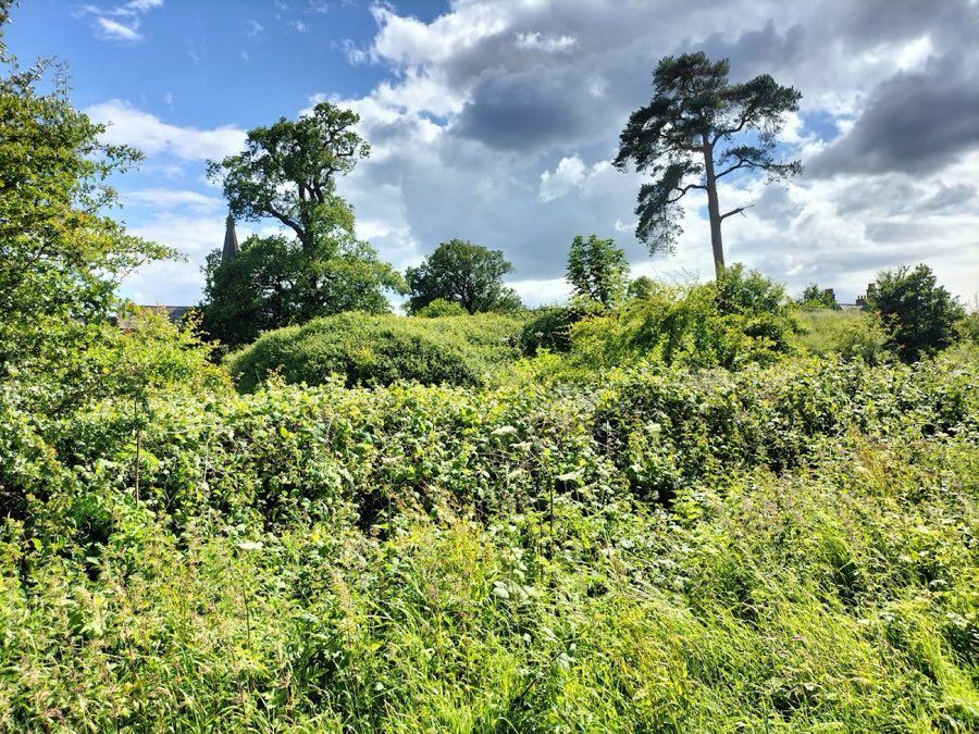 Aldford Castle image