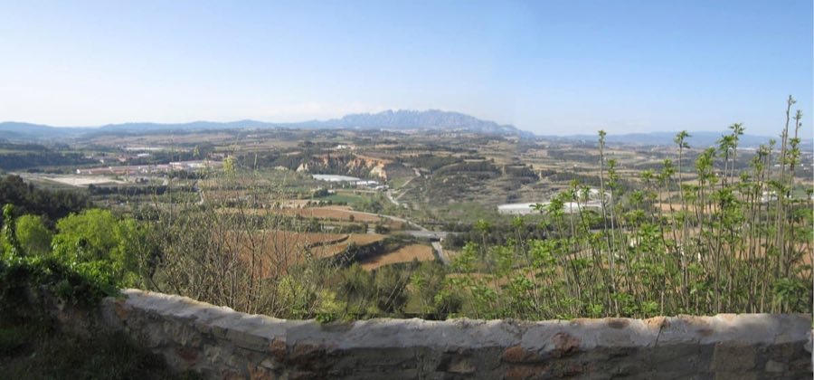 Castell de Subirats image