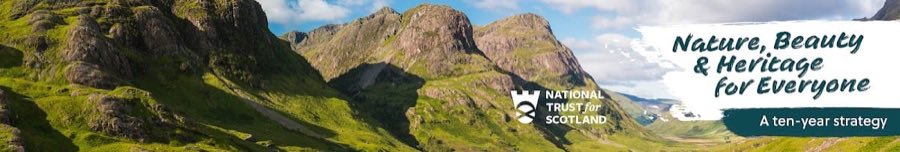 Strome Castle image