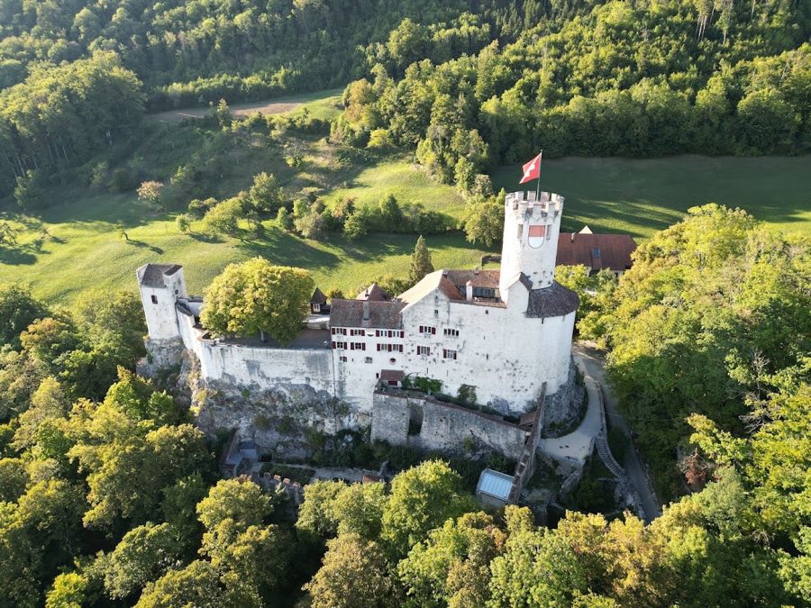 Neu Bechburg Castle image