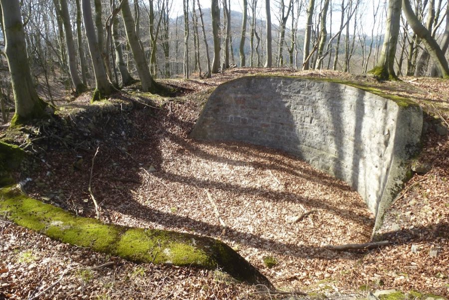 Burg Altenfels image