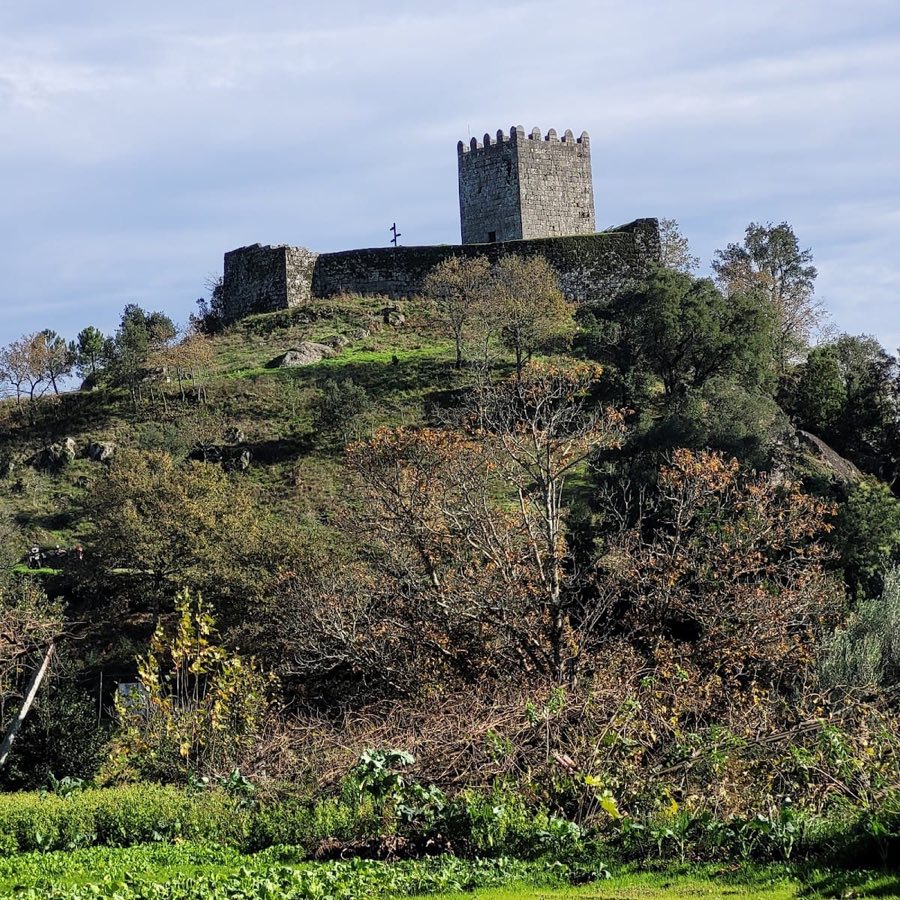 Castle of Arnóia image
