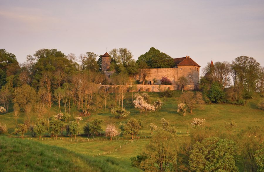 Tannenburg image