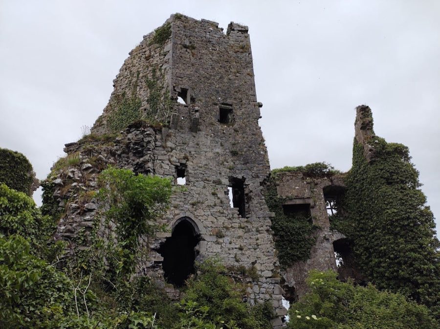 Carrigogunnell Castle image