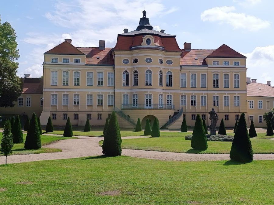 Raczy艅ski Palace, Rogalin image