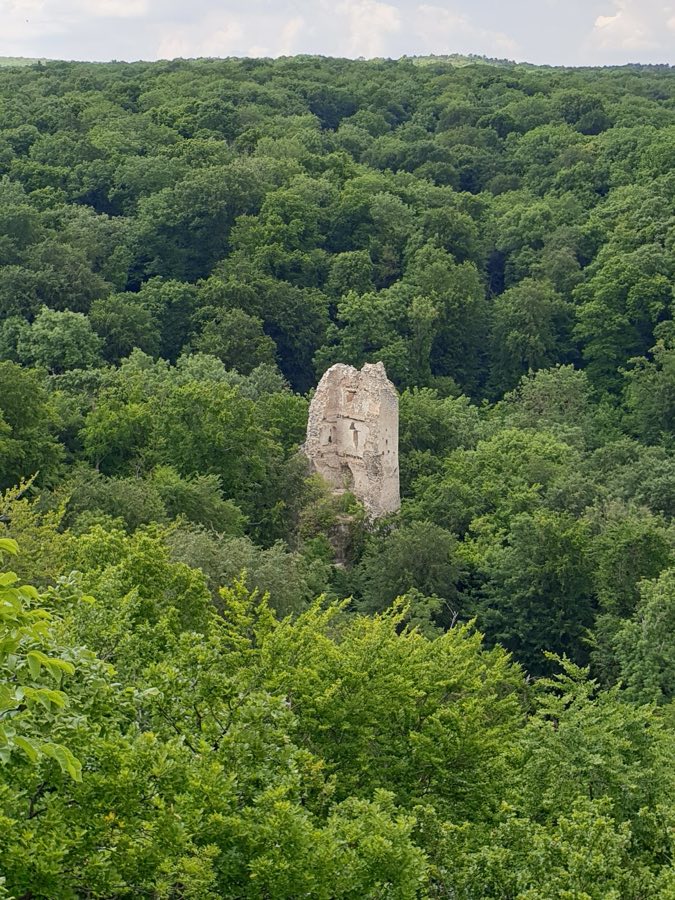 Pusztapalota Castle Ruins image