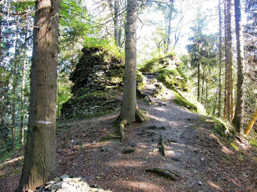 Nístějka Castle image
