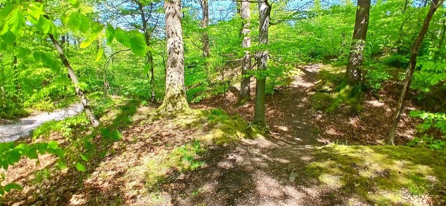 Wallburg Sieben Gräben image