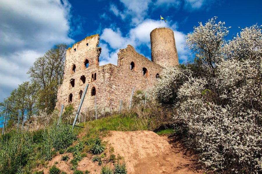 Strahlenburg Castle image
