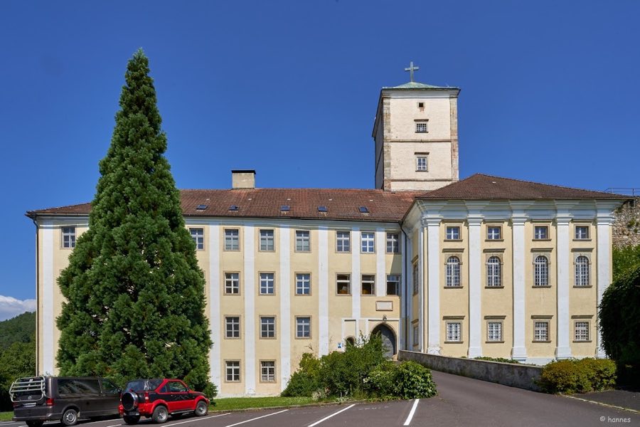 Schloss Riedegg image