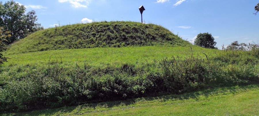 Baumburg (Turmhügel Baumburg) image