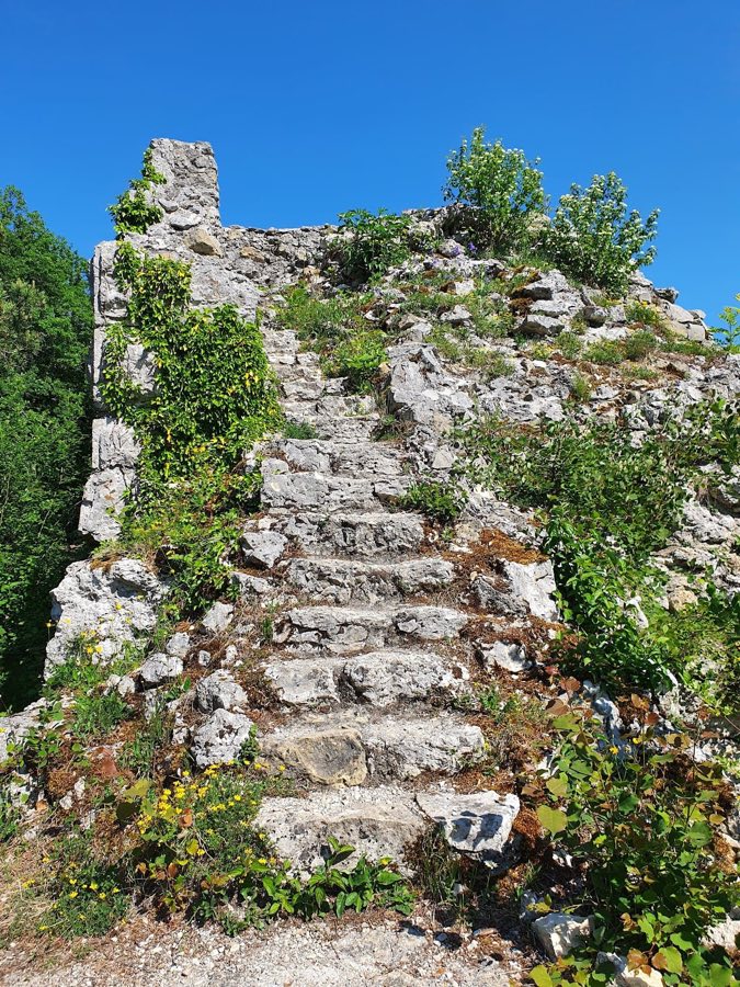 Radegg Castle image