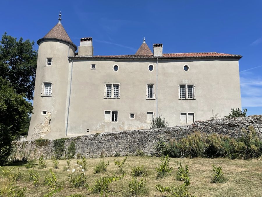 Château de Chenavel image