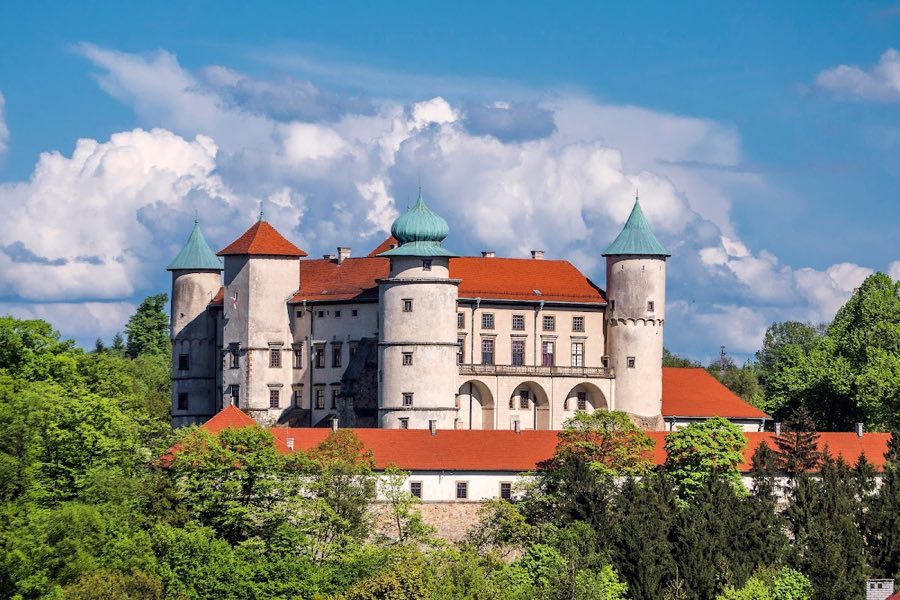 Nowy Wi艣nicz Castle image