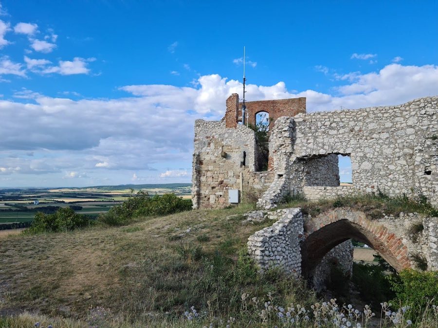 Burgruine Staatz image
