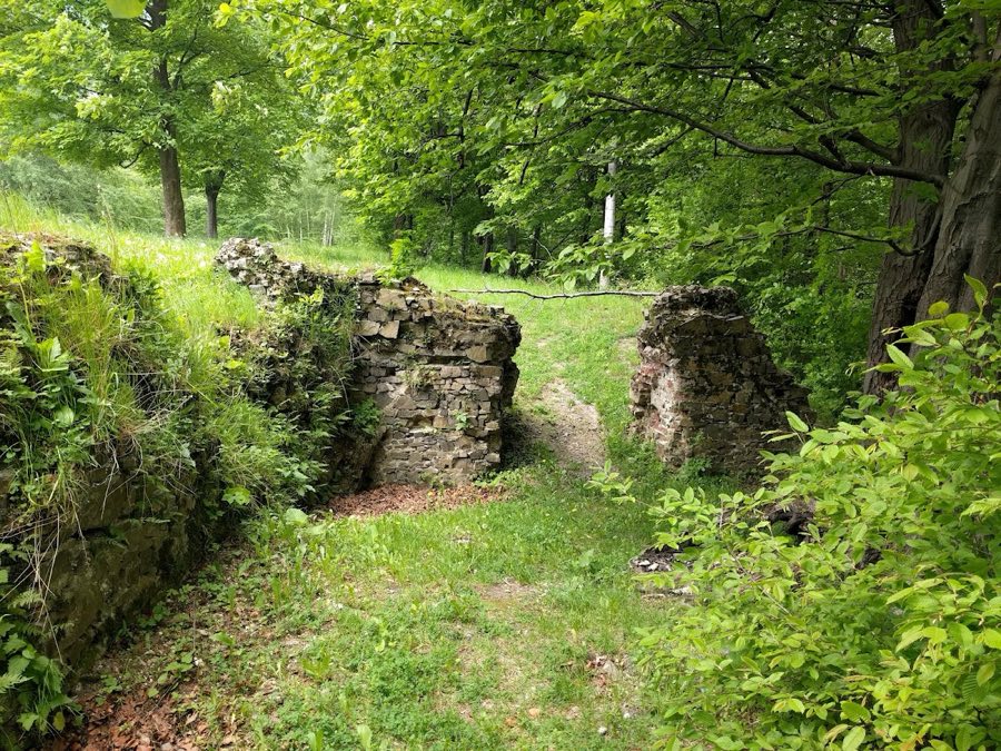 Wo艂ek Castle image