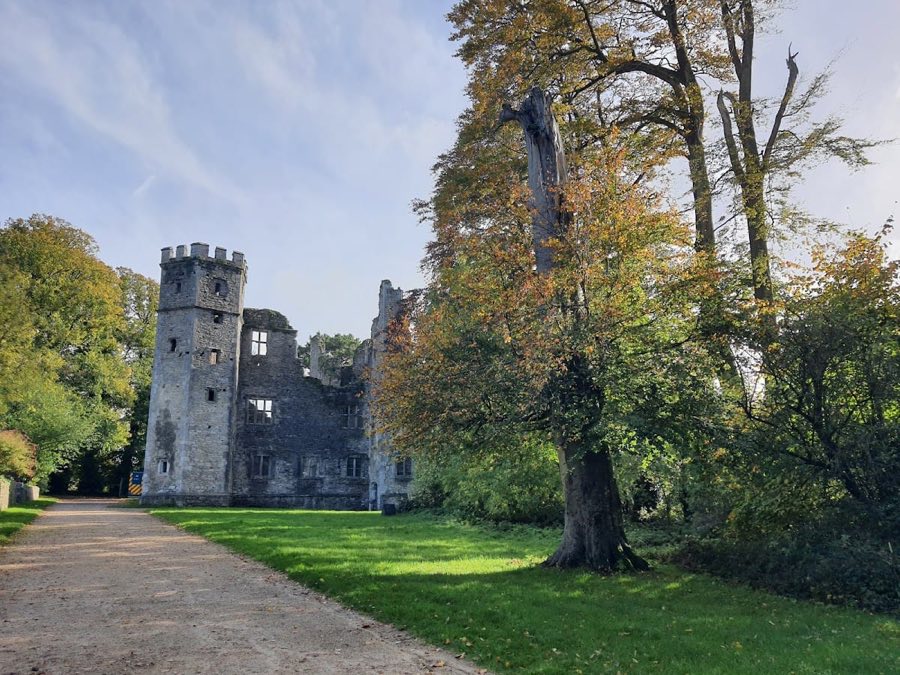 Mallow Castle image