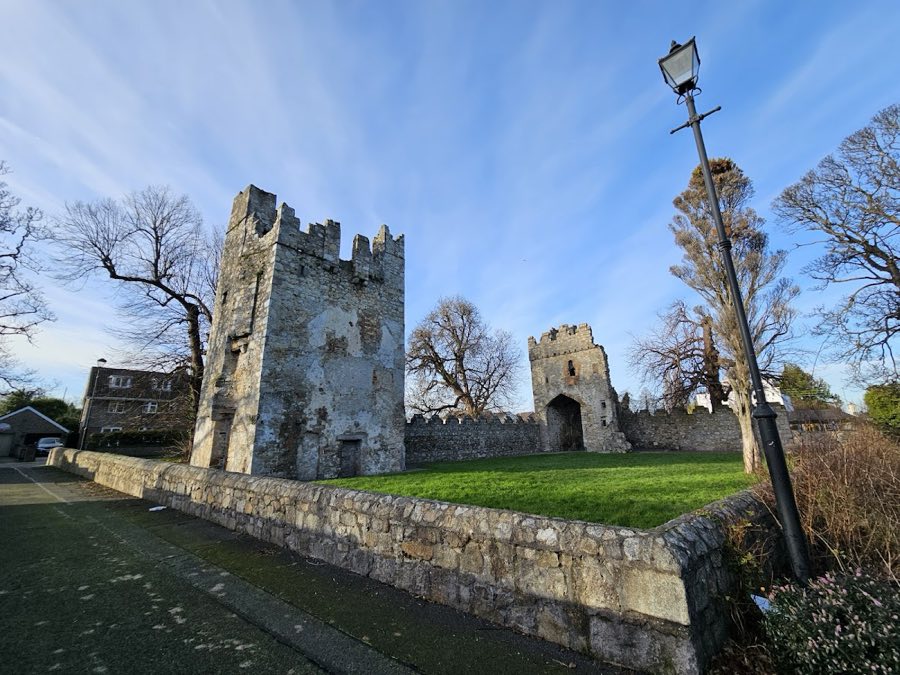 Monkstown Castle image