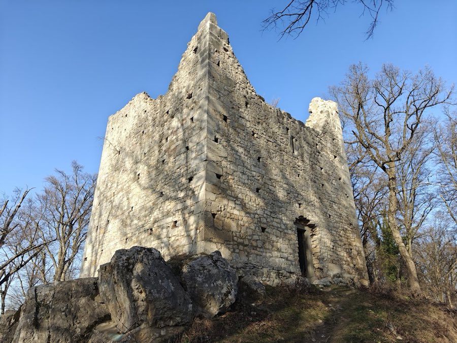 Alt-Wildon Castle, Wildon image