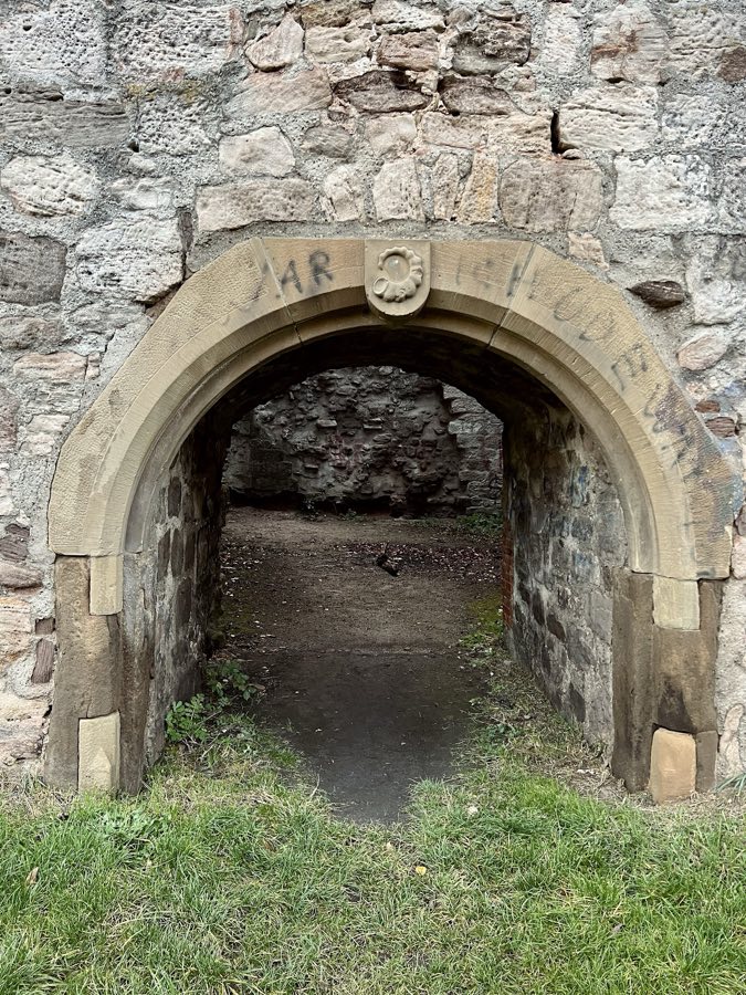 Helfenberg (Burgruine Helfenberg) image