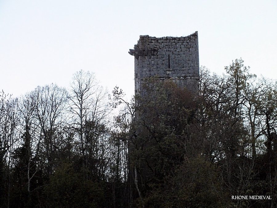 Château de Dorches image