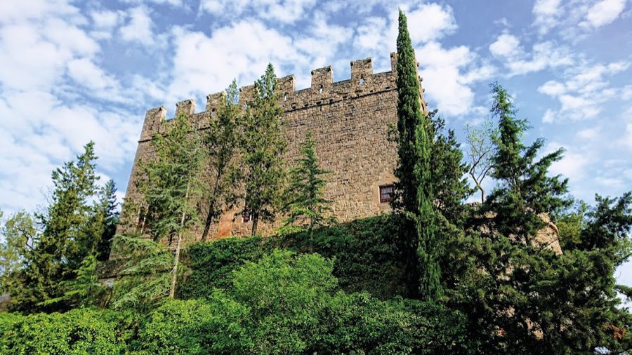 Castell de Balsareny image