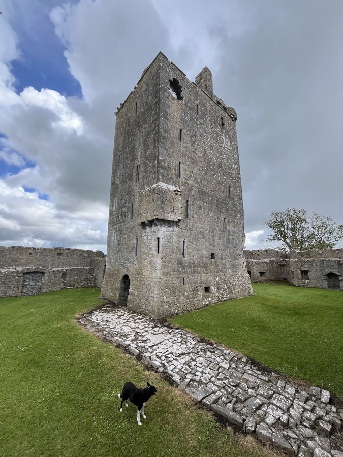 Fiddaun Castle image