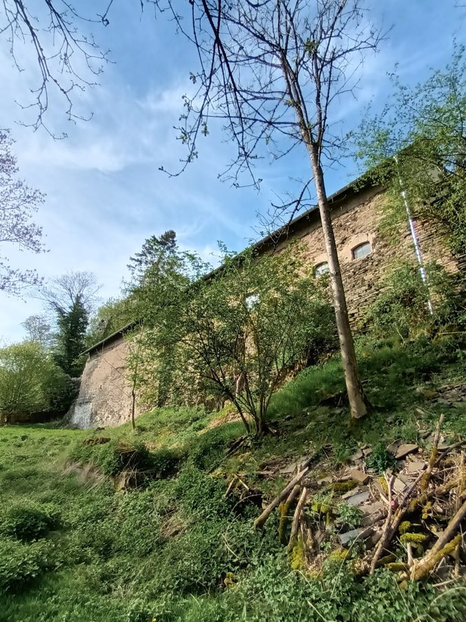 Burg Braunsberg image