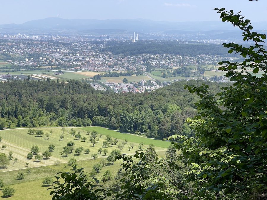 Fürstenstein Castle image