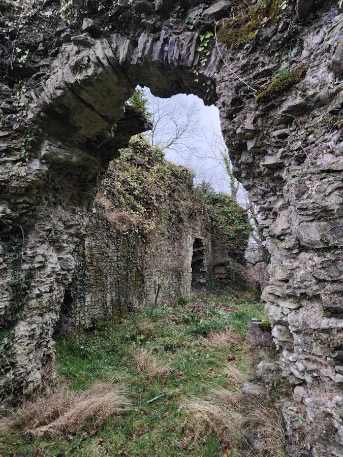 Llangibby Castle (Tregrug) image