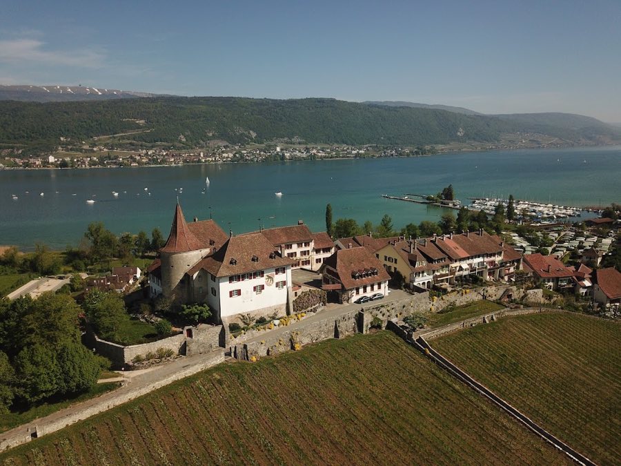 Erlach Castle image