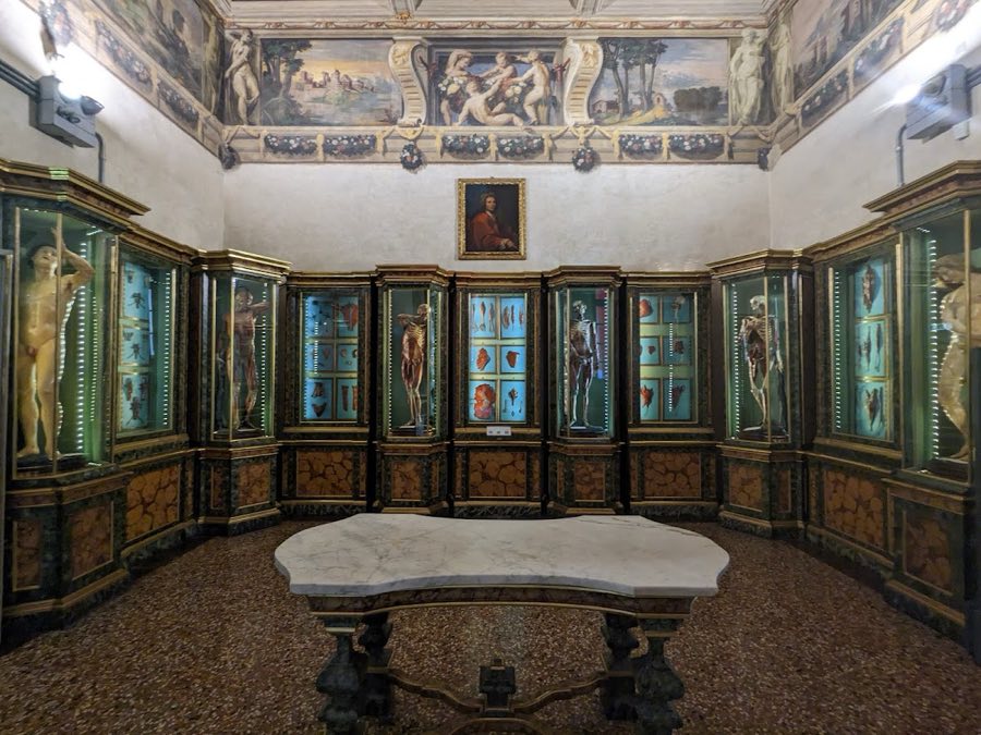 Palazzo Poggi image