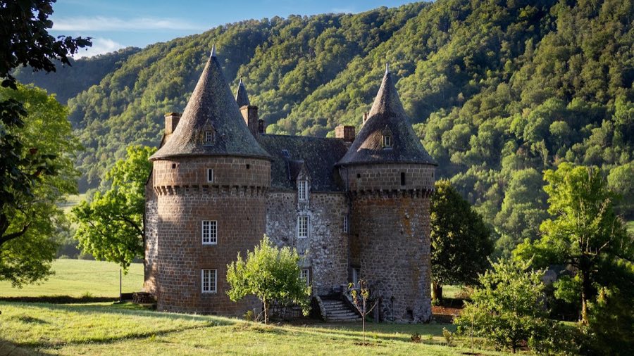 Château de Longevergne image