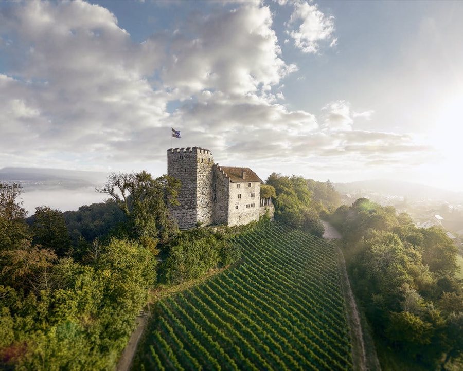 Habsburg Castle image