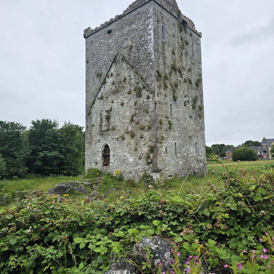 Merlinpark Castle image