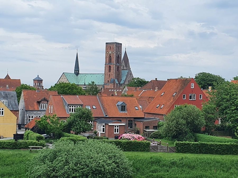Riberhus image