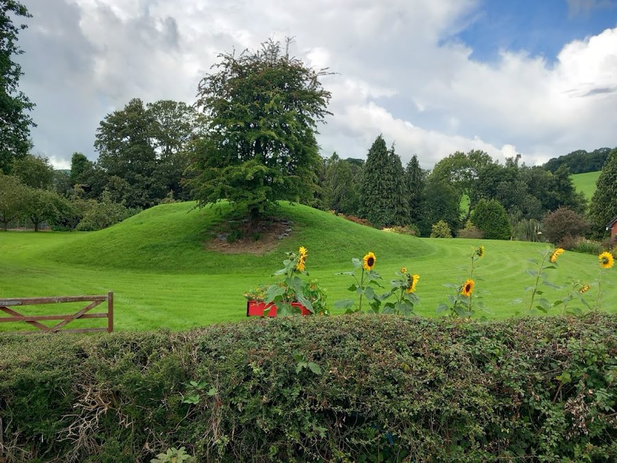 Llanthomas Motte image