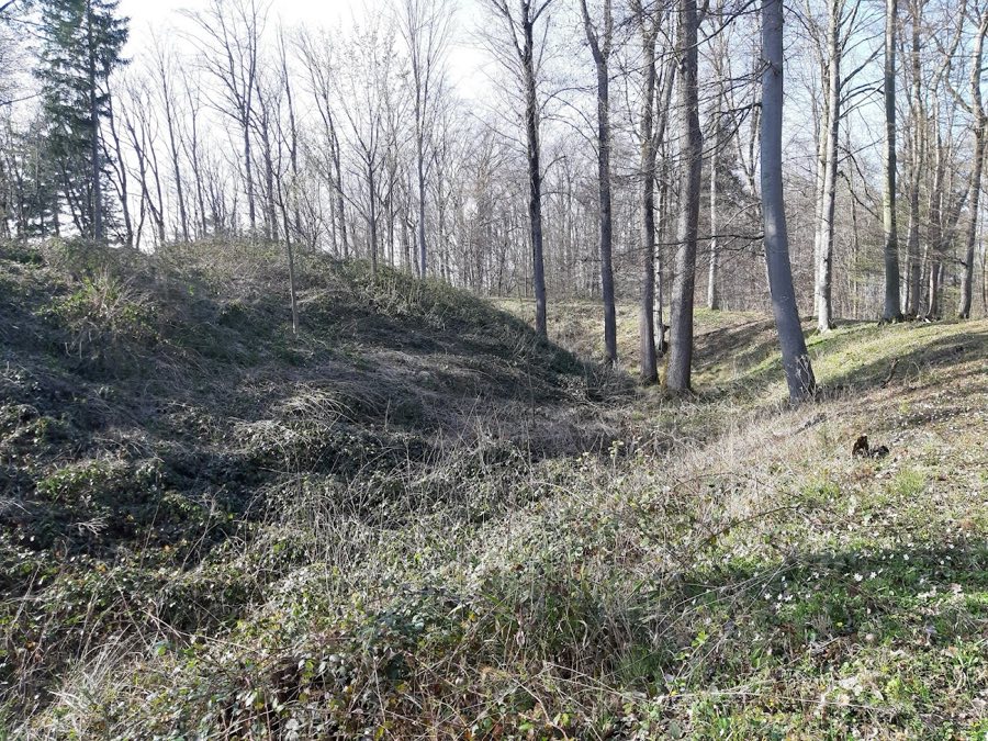 Burg Zillenhart image