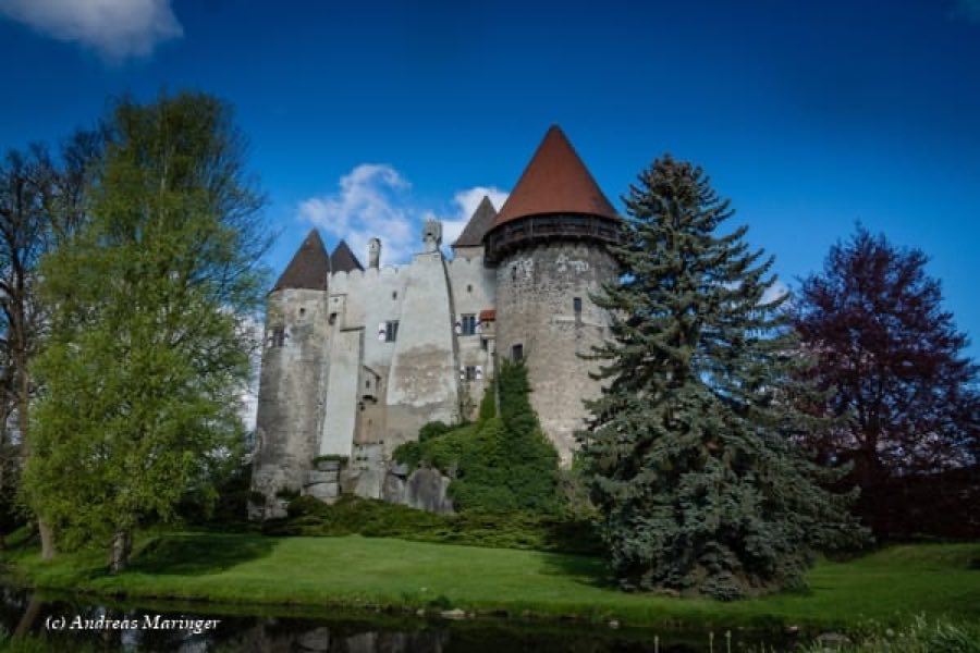Burg Heidenreichstein image