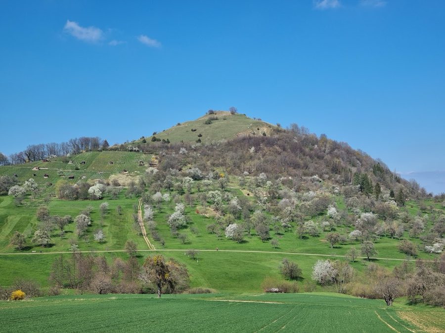 Burg Limburg image