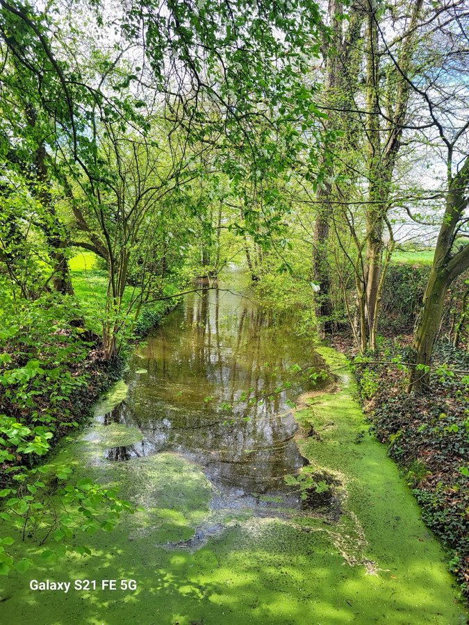 Waldenburghaus image