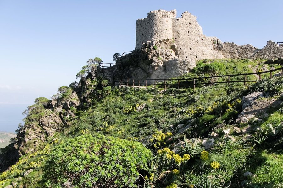 Castello Belvedere image
