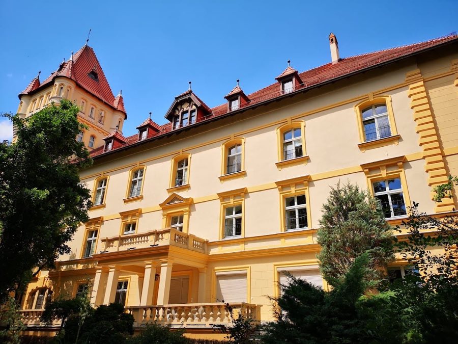 Osieczna Castle image
