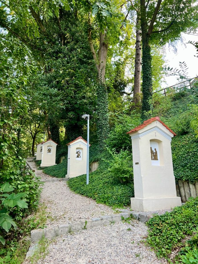Burg Wartenberg image