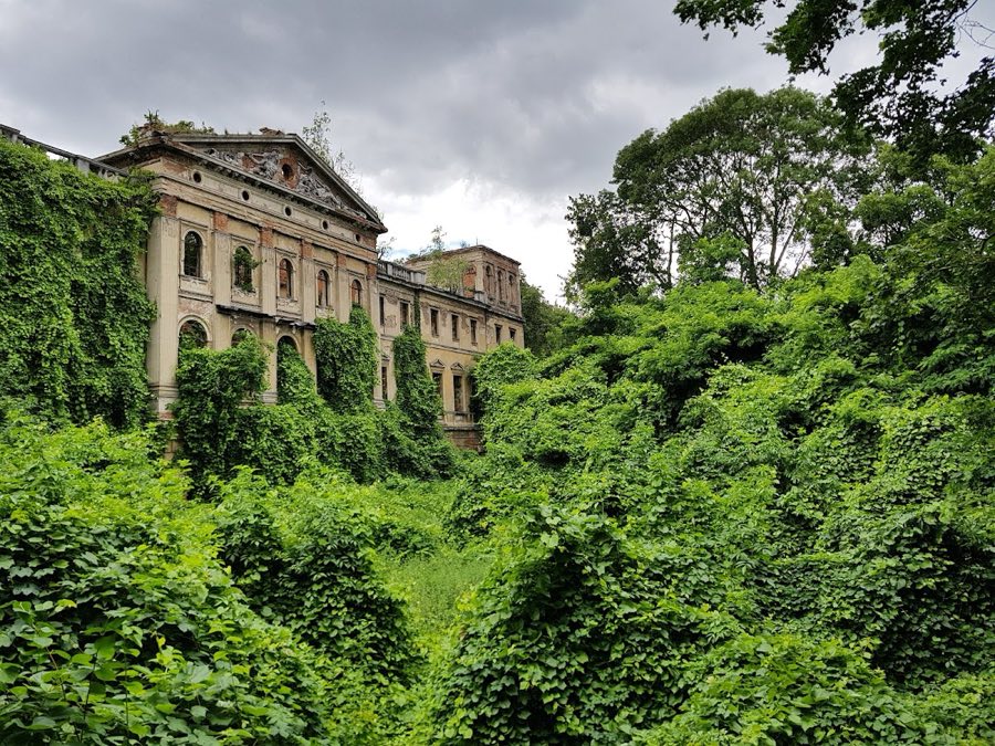 Palace in S艂awik贸w image