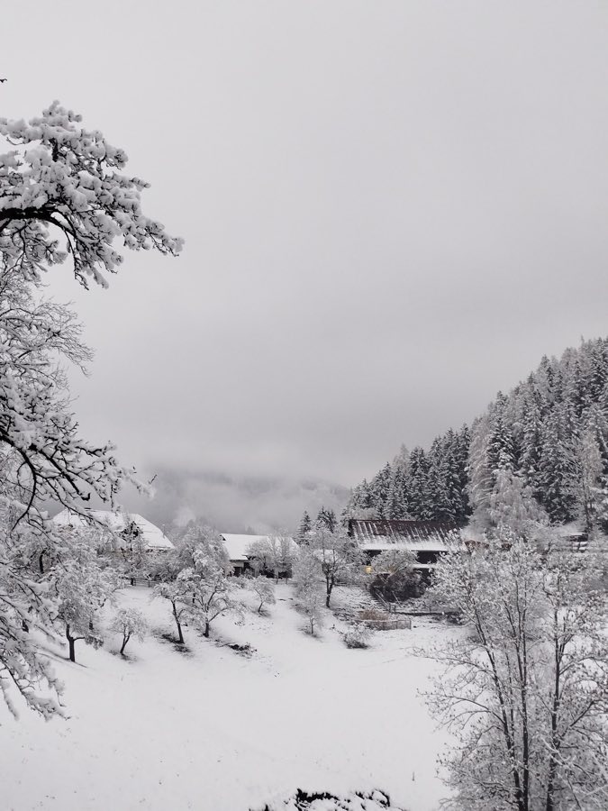 Burg Pernegg image